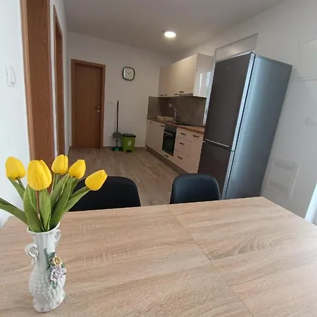 Apartment Marijo Saric *